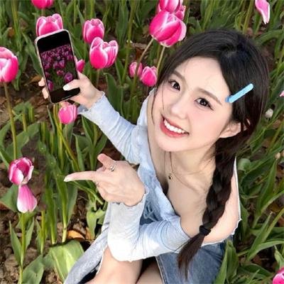 洛杉矶捣蛋计划
